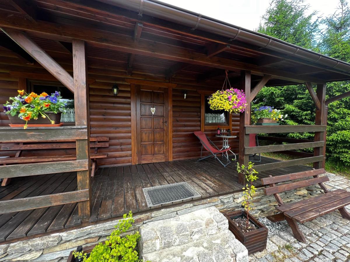 Domek U Karkonosza Villa Kamienna Gora Exterior photo
